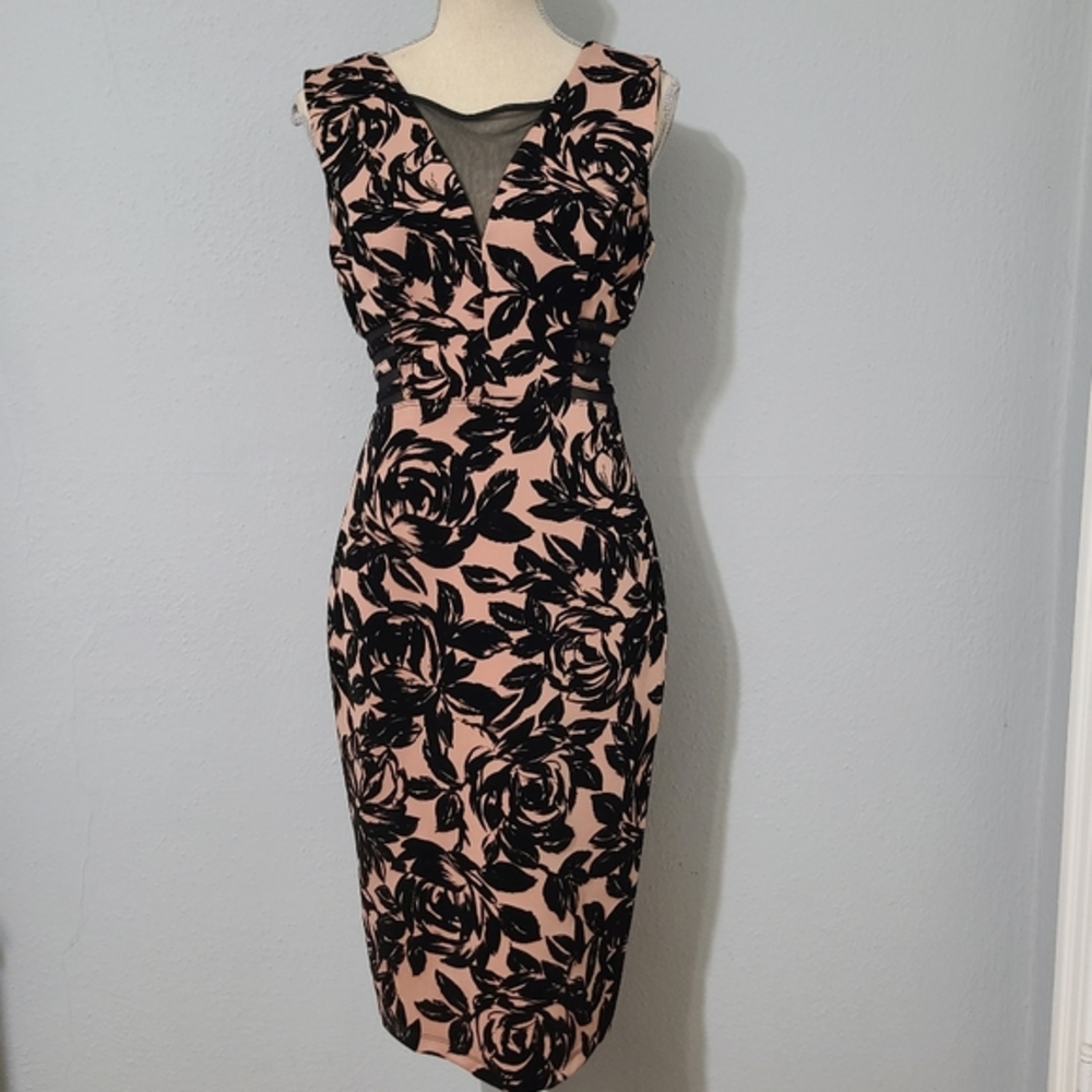 NWOT Dusty Rose with Black Velvet Rose‎ Textured Dress Size 8